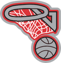Basketball Net