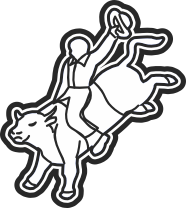 Bull Rider