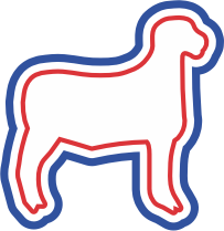 Lamb