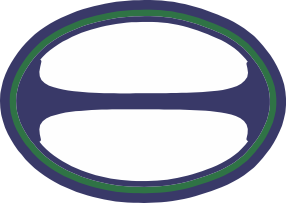 Rugby Ball